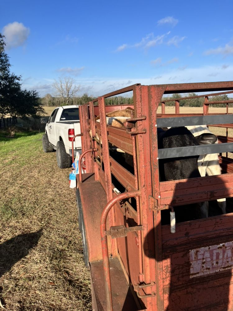 Slide of Sanchez Services