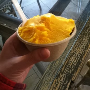 Snake & Butterfly - mango gelato! - Gelato Near Me - Campbell, California Snake & Butterfly - mango gelato! - Gelato Near Me - Campbell, California