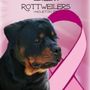 Photo of B.E.T. Rottweilers
