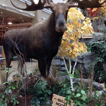 Scheels - Hunting & Fishing Supplies Near Me - Overland Park, Kansas