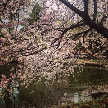 Brooklyn Botanic Garden - The lake was gorgeous to walk around. - Botanical Gardens Near Me - Brooklyn, New York