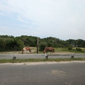 Assateague State Park - Parks Near Me - Berlin, Maryland