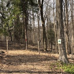 Wickecheoke Creek Preserve - Supposed to be a trail but it was blocked and there's no trail at all.