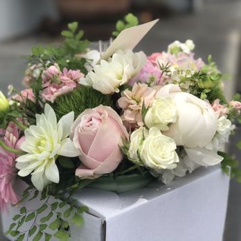 Magical Blooms - Shot on an iPhone 7 plus (Portrait Mode) - Florists Near Me - Redondo Beach, California Magical Blooms - Shot on an iPhone 7 plus (Portrait Mode) - Florists Near Me - Redondo Beach, California