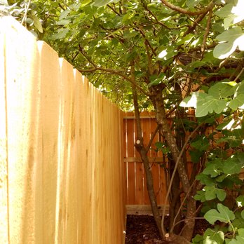 Texas Apache Fence - Our yard has lots of vegetation but the installers built a perfectly straight fence! Great job! - Fences & Gates Near Me
