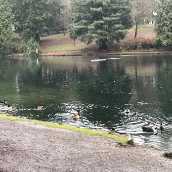 Laurelhurst Park - Beautiful water view - Parks Near Me - Portland, Oregon Laurelhurst Park - Beautiful water view - Parks Near Me - Portland, Oregon