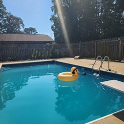 C Horse Pool Cleaning and Maintenance
