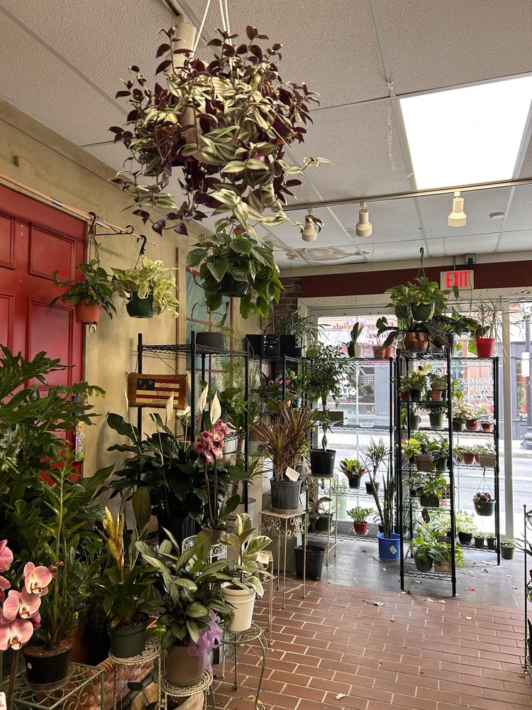 THE BLOSSOM SHOP Updated August 2024 43 Photos & 43 Reviews 138