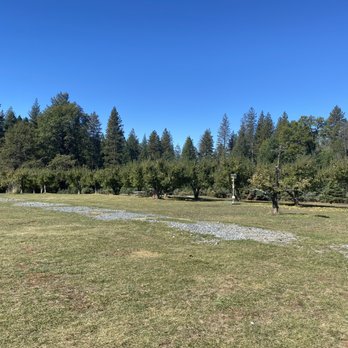 Harris Family Farm - Christmas Trees Near Me - Pollock Pines, California Harris Family Farm - Christmas Trees Near Me - Pollock Pines, California