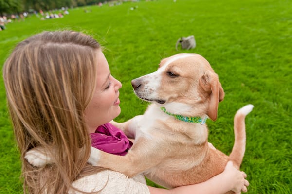 happy canine staten island