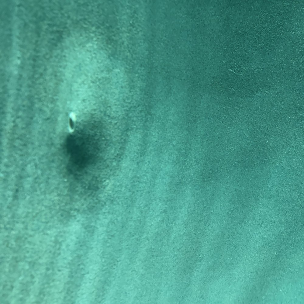 CDC Pools - Side of pool surface- troweled unevenly. - Hot Tub & Pool Near Me - Chandler, Arizona