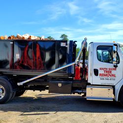South Shore Tree Removal