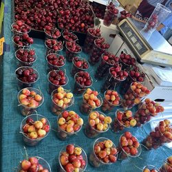 Magaña Farms - Cherries