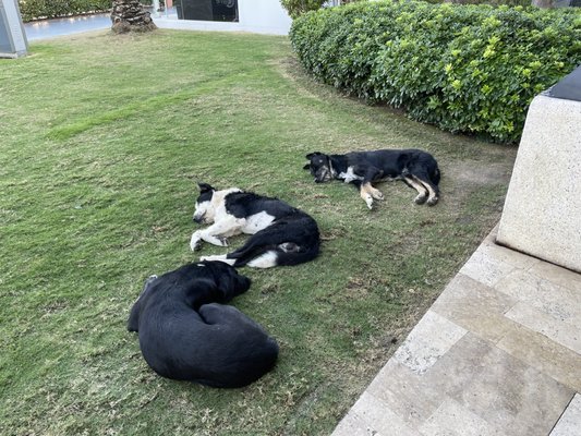 Yalıkavak Marina by null