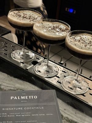 The Palmetto Hotel, Charleston by null