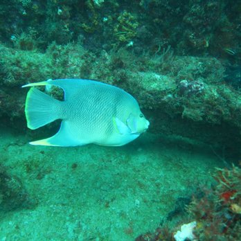 Force E Scuba Centers - Scuba Diving Near Me - Riviera Beach, Florida