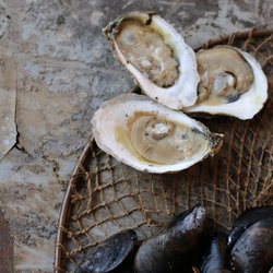Jack Lukey's Oyster Saloon & Caviar Bar