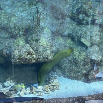 Downtown Aquarium - Museums Near Me - Denver, Colorado