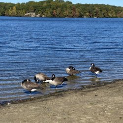 Frank Moody State Beach