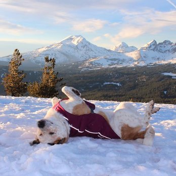 Kindred Spirit Pet Care - Enjoying the season ! - Pet Boarding Near Me - Bend, Oregon Kindred Spirit Pet Care - Enjoying the season ! - Pet Boarding Near Me - Bend, Oregon