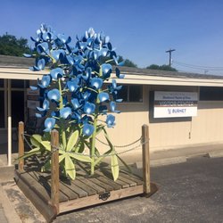 Burnet Chamber of Commerce - World's Largest Bluebonnet
