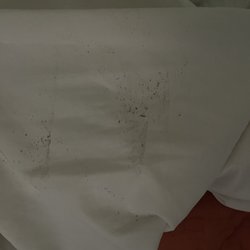 Econo Lodge Massena Hwy 37 - Bed bug shavings