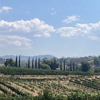 Halter Ranch Temecula - Views from outside seating area. - Wine Tasting Room Near Me - Temecula, California