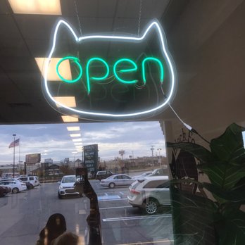 Black Forest Cat Cafe - Cat - Themed Cafes Near Me - Fort Wayne, Indiana