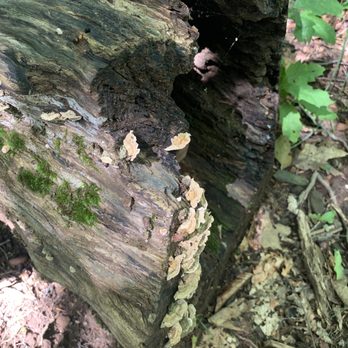 Elk Knob State Park - Parks Near Me - Todd, North Carolina