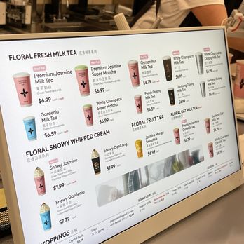 Molly Tea - Bubble Tea Near Me - Sunnyvale, California