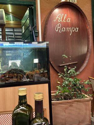 Alla Rampa by null