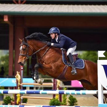 Cavallo Stables - Horseback Riding Near Me - Penryn, California