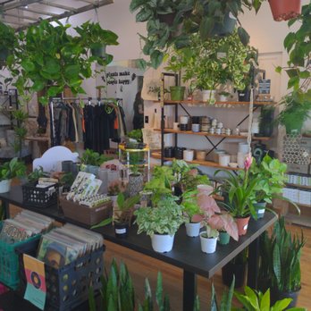 Stalk Market - Nurseries & Gardening Near Me - Arvada, Colorado Stalk Market - Nurseries & Gardening Near Me - Arvada, Colorado