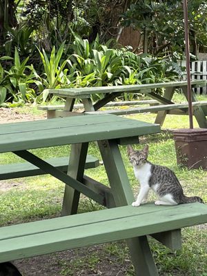 Keneke's Grill at Punaluu by null