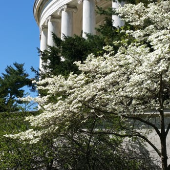 Jefferson Memorial - Coming during cherry blossoms is an extra treat! - Landmarks & Historical Buildings Near Me - Washington, DC, District of Columbia