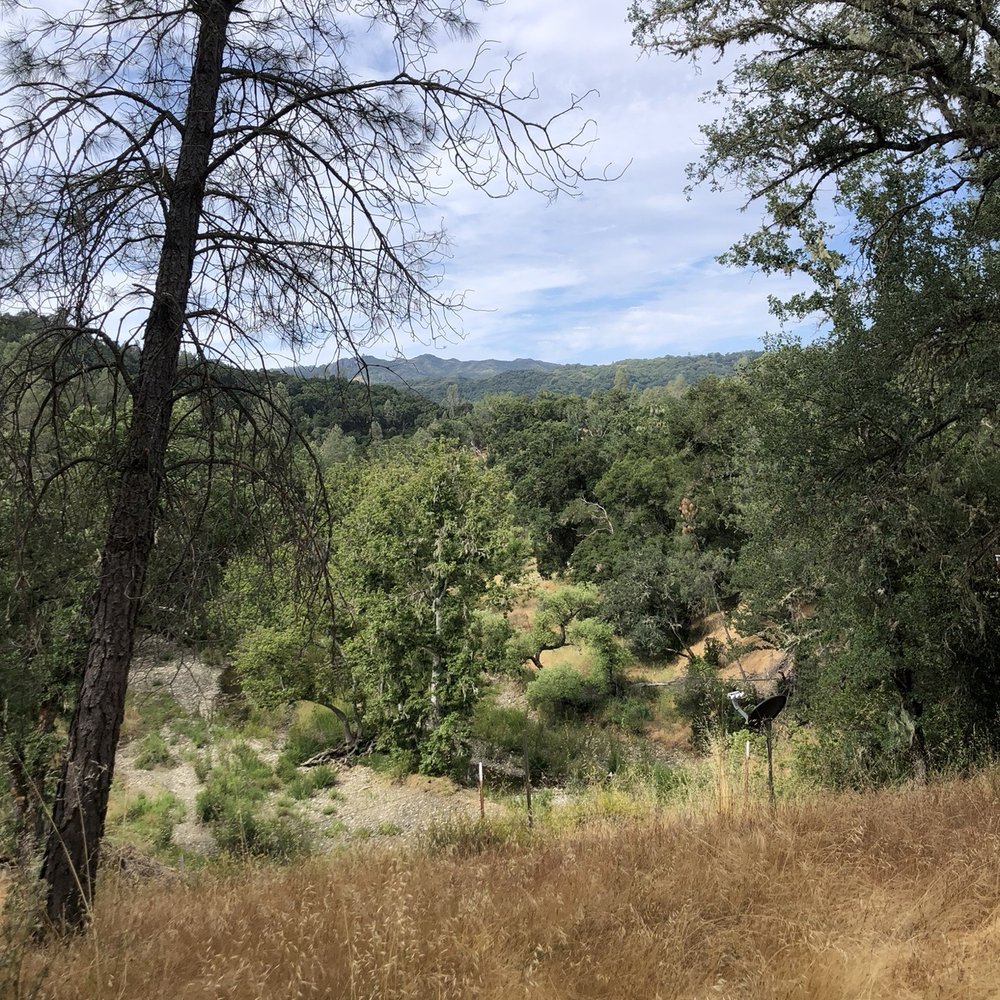 Stay Unhitched - Vacation Rentals Near Me - Paso Robles, California Stay Unhitched - Vacation Rentals Near Me - Paso Robles, California