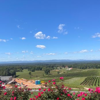 Piccione Vineyards - New building goes there on the left - Wineries Near Me - Ronda, North Carolina Piccione Vineyards - New building goes there on the left - Wineries Near Me - Ronda, North Carolina
