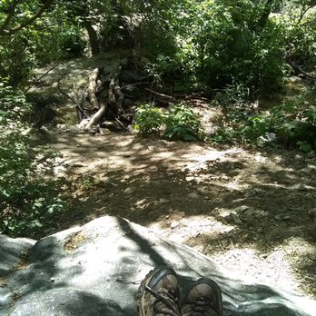 Ferguson Canyon - Hiking Near Me - Cottonwood Heights, Utah