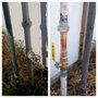 Photo of Orange Independent Plumbing Services