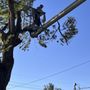 Off the Court Property Maintenance