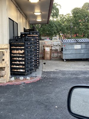 Jack in the Box by null