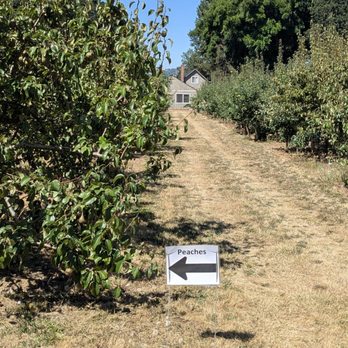 Bell's Orchard - Fruits & Veggies Near Me - Beaverton, Oregon