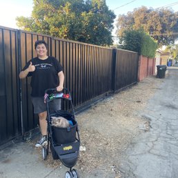 Repainted our fence. Repainted our fence.