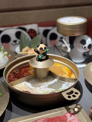 Nanshan Hot Pot - Flushing｜南山•熊猫烫火锅 - 法拉盛店 by null