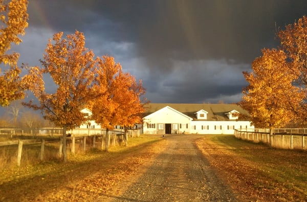 Liberty Farms by null