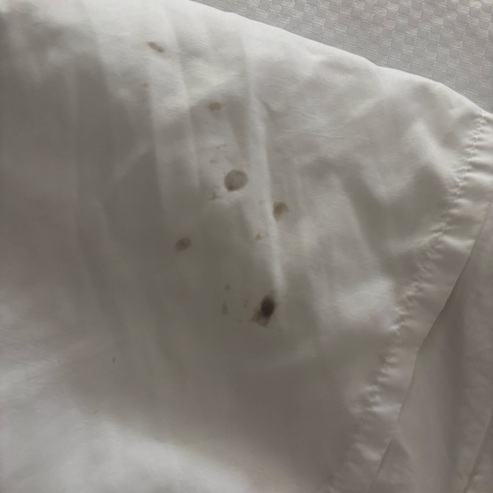 Comfort Inn - Bed check. This is how the staff at Comfort Inn in Garner NC off of I40 next to Lowe's and Holiday Inn treat their guests. Disgusting! - Hotels Near Me - Garner, North Carolina