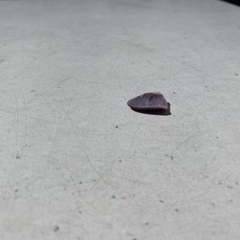 Zelda's - Random fake nail on our table - Bars Near Me - Capitola, California Zelda's - Random fake nail on our table - Bars Near Me - Capitola, California