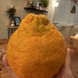 Sumo orange! Sumo orange!