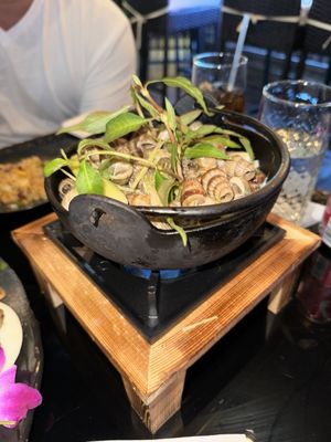 Monkey Lounge by null