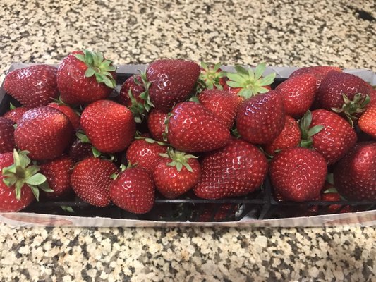 Smith Farms by null